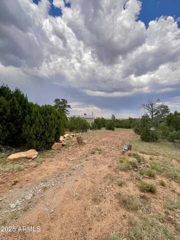 8670 HAVEN CREST Drive, Happy Jack, AZ 86024
