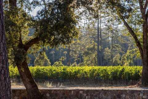 1050 White Cottage Road N, Angwin, CA 94508