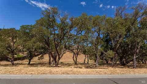 743 BRIDLE RIDGE Court, Fairfield, CA 94534