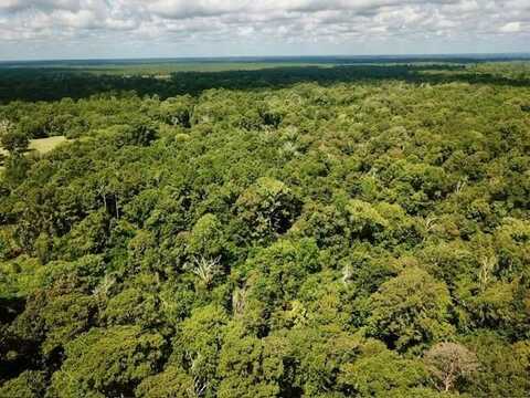 11.8+/- Acs Cr 4190, Woodville, TX 75979
