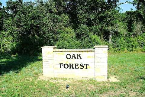 Tbd Sawmill Road, Franklin, TX 77856