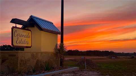 Tbd Plata Way (Resv. 2) Drive, Bryan, TX 77808