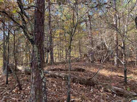 914 PARADISE POINT DRIVE, COLUMBIANA, AL 35051