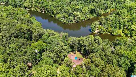 10802 MALLARD LAKE LANE, COTTONDALE, AL 35453