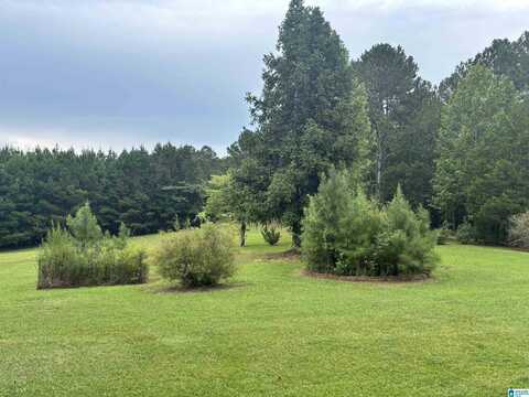81 COUNTY ROAD 500, WOODLAND, AL 36280