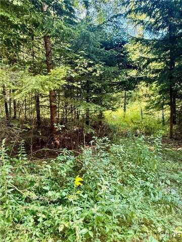 1792 Steve Russell Hill Road, Freetown, NY 13040