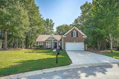 255 Silverwood Trail, Columbia, SC 29229