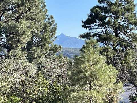 259 Blue Jay Circle, Pagosa Springs, CO 81147