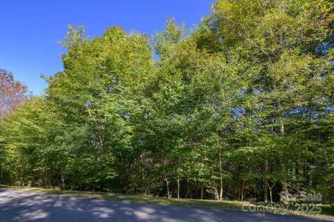 White Fox Lane lot: 37, Banner Elk, NC 28604
