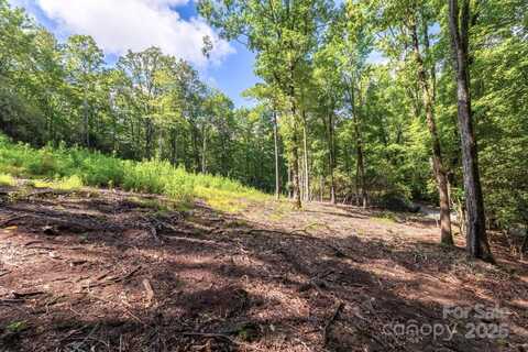 School House Road, Pisgah Forest, NC 28768