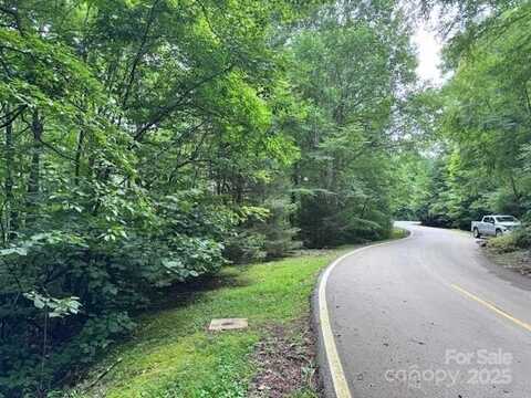 29 Wood Haven Lane unit: 209, Black Mountain, NC 28711