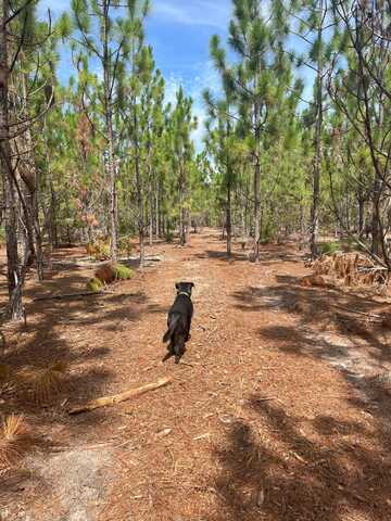 Ppf 6 Payne Pond Road, Westville, SC 29175