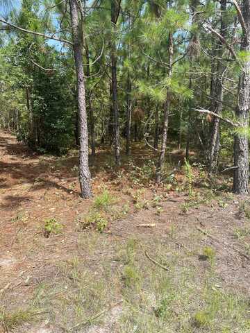 Ppf 7 Payne Pond Road, Westville, SC 29175