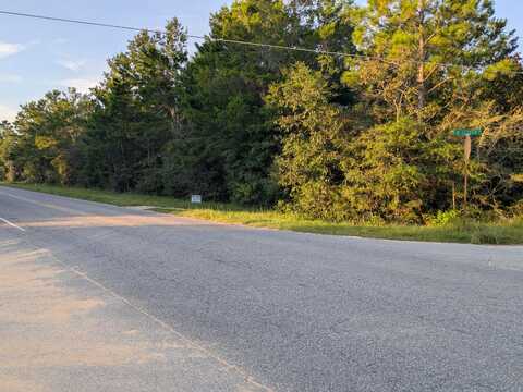 Lot 15 Girl Scout Road, DeFuniak Springs, FL 32433