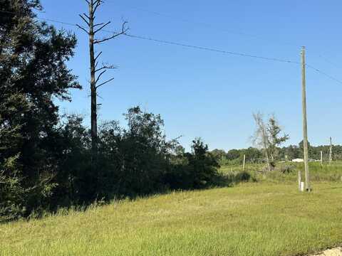 Tract#6201 W County Hwy 181, DeFuniak Springs, FL 32433