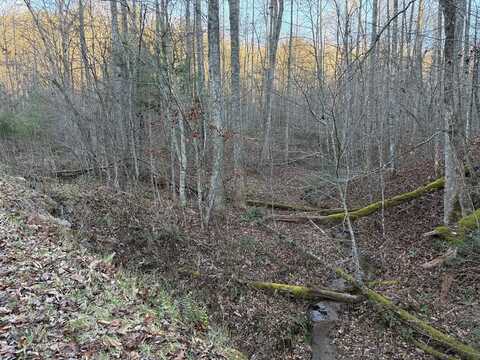 Lot 15 Gold Mountain High, Franklin, NC 28734