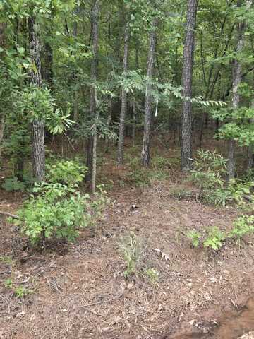 0 Lbk Rd Road, Tignall, GA 30668