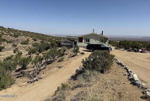 30567 Largo Vista Road, Llano, CA 93544