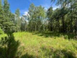 0 Gordy Road, Tibbie, AL 36583