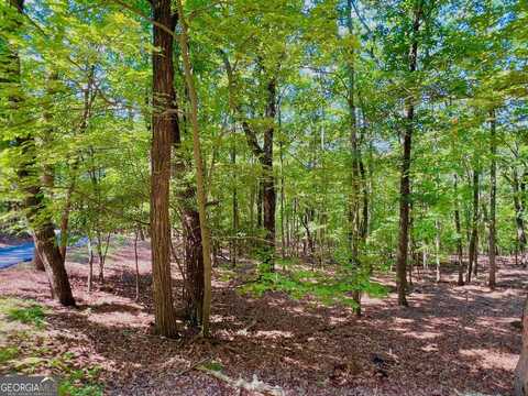 1481 Briar, Jasper, GA 30143