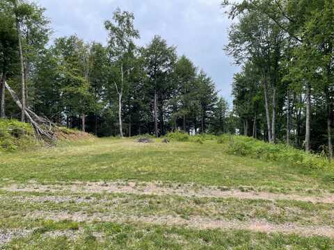 Lot 4 CISCO LAKE RD E, Watersmeet, MI 49969