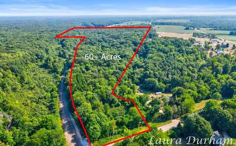 56th street, Fennville, MI 49408