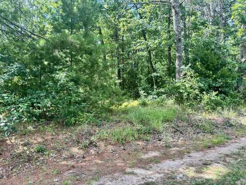 8283 S Harperwoods ST Terrace, Idlewild, MI 49642