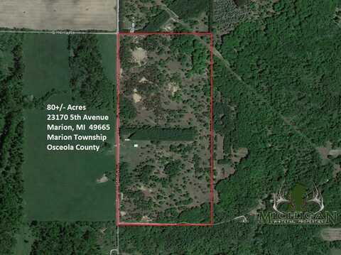 23170 N 5th Avenue, Marion, MI 49665