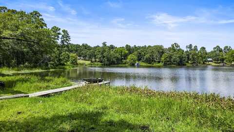5066 Bob O Link Rd, Gilmer, TX 75645