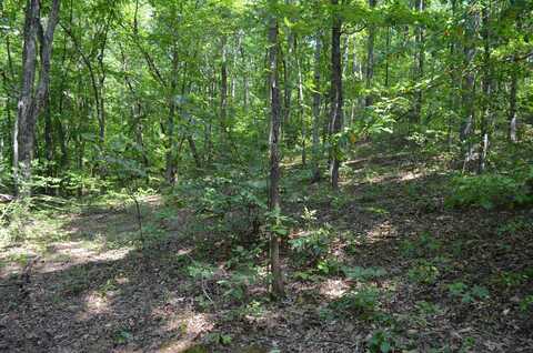 Paddle Creek, Fort Gay, WV 25514