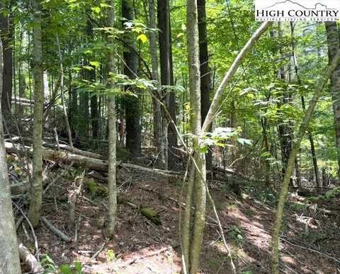 Tbd Apple Canyon Drive, West Jefferson, NC 28694