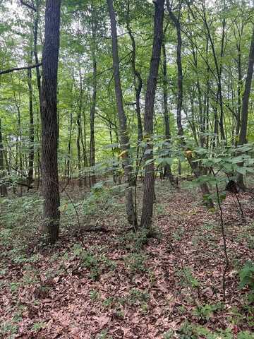 0 Sand Rock Rd, Huntingdon, PA 16652