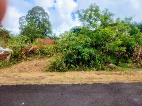 KAIWA ST, Pahoa, HI 96778