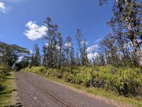 16-1841 ROAD 5 (UAU), Mountain View, HI 96771