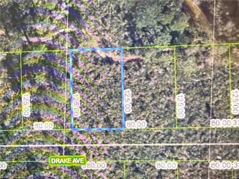 3324 Drake Avenue, Sebring, FL 33852