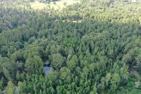3443 W FM 1013, Kirbyville, TX 75956