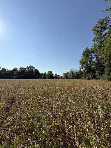 0 SLEDGE, Millington, TN 38053