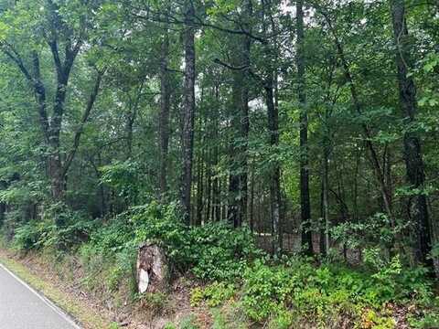 0 OSBORNTOWN, Arlington, TN 38002
