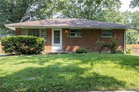 1109 Walker Avenue, Unincorporated, MO 63138