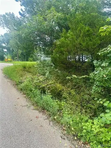 0 Zeus Place, De Soto, MO 63020