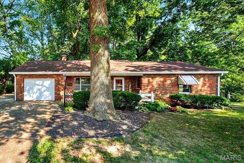 906 N 17th Street, Swansea, IL 62226