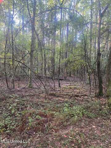 101 Kirby Creek Road, Wiggins, MS 39577