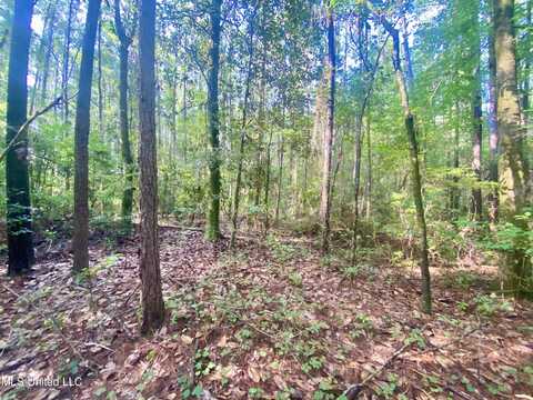 102 Kirby Creek Road, Wiggins, MS 39577