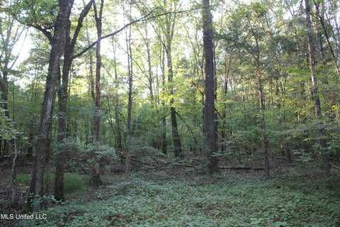 1800 Union Valley Road, Byhalia, MS 38611