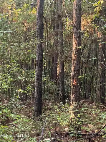 1 Kirby Creek Road, Wiggins, MS 39577