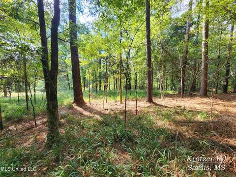 Krotzer Road, Sardis, MS 38666