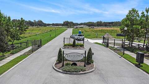 14264 PINE STRAW COURT, DOVER, FL 33527