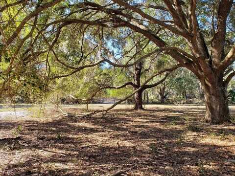 13.12ac NE HWY 315, FORT MC COY, FL 32134