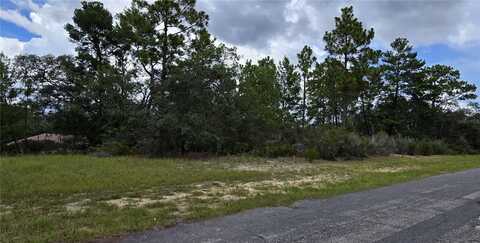 2899 W SANTANA DRIVE, CITRUS SPRINGS, FL 34433