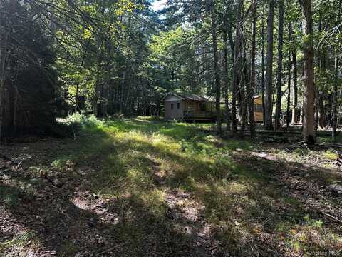 8 Kern Road, Barryville, NY 12719